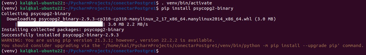 Conectar a PostgreSQL desde Python